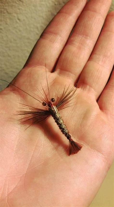 I have to try this | Fly tying patterns, Fly fishing flies pattern, Fly ...