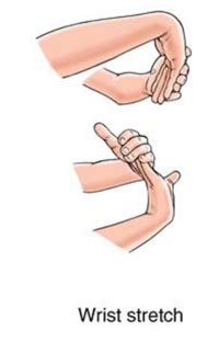 wrist and elbow exercises > OFF-55%