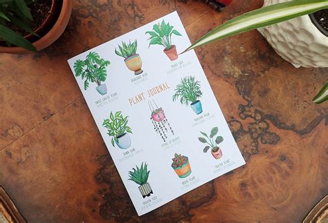 Plant Journal for Houseplant Care, A5 Lined Notebook for Succulents ...