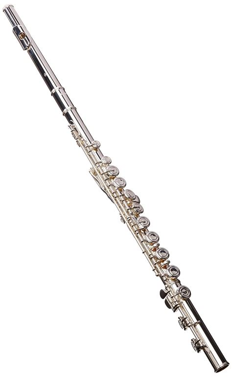 Top 7 Best Kids Flutes Reviews In 2021