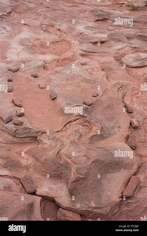 USA, Southwest, Arizona, Dinosaur tracks, Tuba City Stock Photo - Alamy