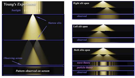 Thomas Young's Double Slit Experiment