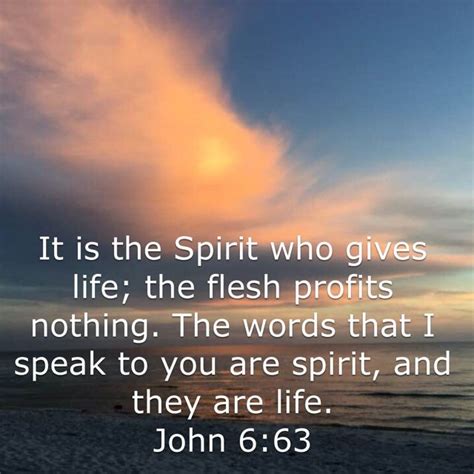 John 6:63 It is the Spirit who gives life; the flesh profits nothing ...