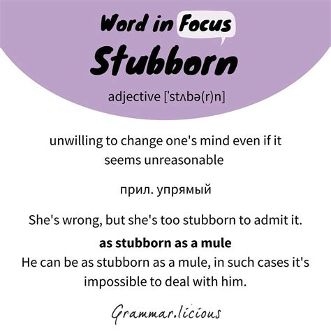 Как использовать STUBBORN в предложении. Словосочетания со словом ...