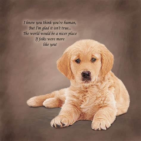 Inspirational Dog Quotes Golden Retrievers. QuotesGram