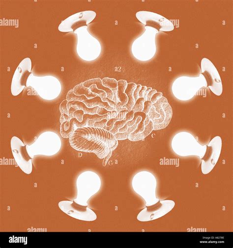 light bulbs encircling brain diagram Stock Photo - Alamy