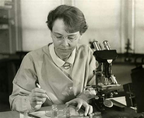 Meet Barbara McClintock, who used corn to decipher 'jumping genes'