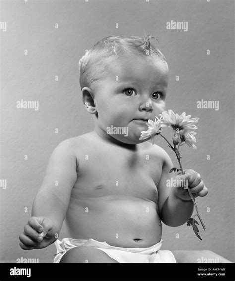 1950s BABY SITTING FULL FIGURE HOLDING SMELL SMELLING FLOWERS DAISY AROMA ODOR FRAGRANCE SNIFF ...
