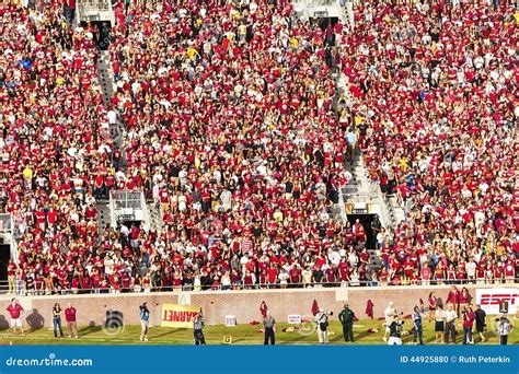 FSU Fans editorial image. Image of adults, spectators - 44925880