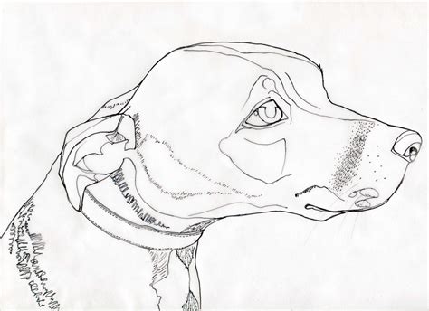 Dog line drawing | Drawing Class Board | Pinterest | Drawings, Picasso and Art drawings