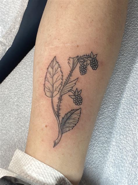 Blackberry Plant | Under the Needle