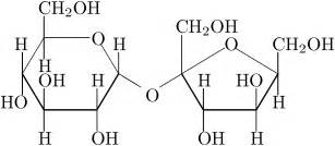 Biokimica-ENMH-IPN: Disacaridos