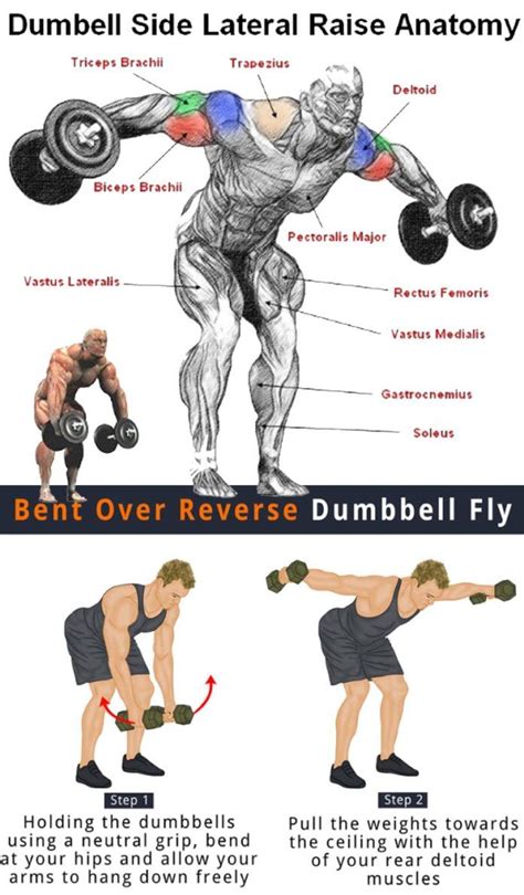 Bent Over Reverse Dumbbell Fly | Dumbbell fly, Shoulder workout, Chest workout