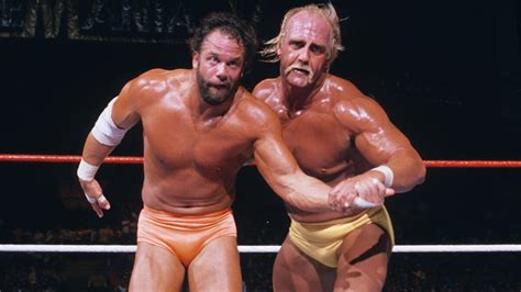 The Mega Powers Explode (The Madness & The Mania) | Rivalries