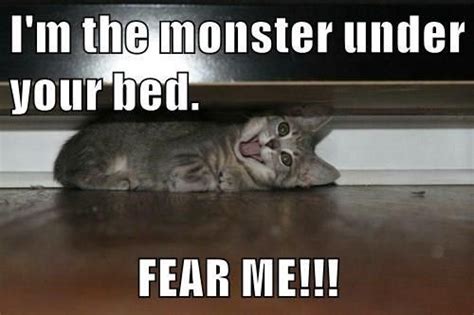 I'm the monster under your bed. FEAR ME!!! | Funny cute cats, Funny ...