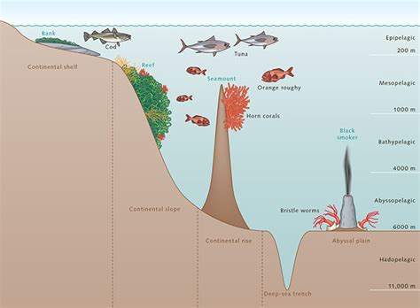 Ocean Floor Depth Map