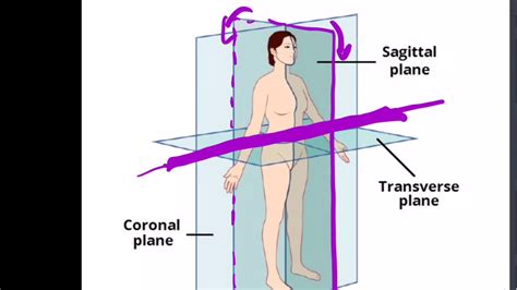 3D Anatomical Planes & Axes of Motion #OMM #OMT #COMLEX #wedabest - YouTube