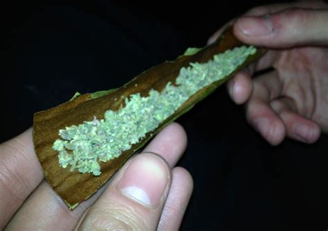 how ask for a blunt wrap - DwayneManson's blog