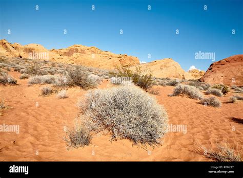 Wilderness state park hi-res stock photography and images - Alamy