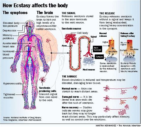 Drug Facts: Ecstasy or MDMA - Bridges Of Hope