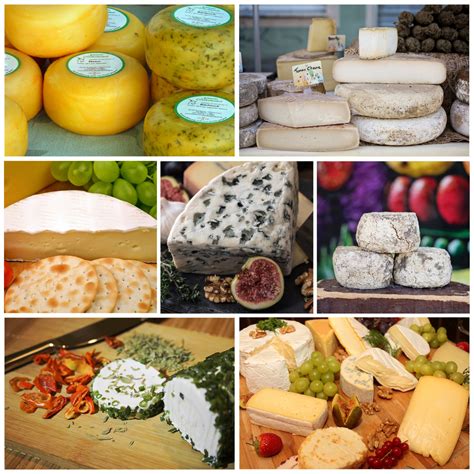 Cheese Collage Free Stock Photo - Public Domain Pictures