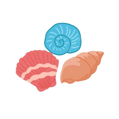 Sea Shell PNG Picture, Cute Sea Shells, Sea Shells, Pink, Beach PNG Image For Free Download