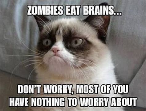 18 Best Grumpy Cat Memes Ever