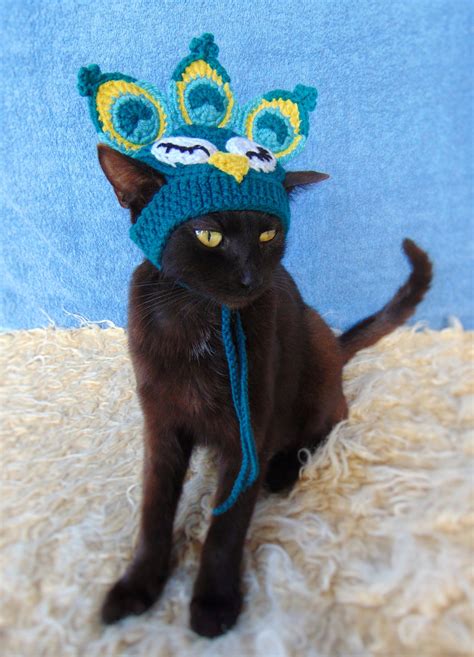 Peacock Hat for Cat Peacock Pet Costume Kitten Accessories - Etsy