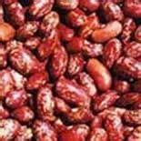 Red Kidney Beans (Rajma) at best price in Mumbai by Royal Agro Foods Industries | ID: 1945884562