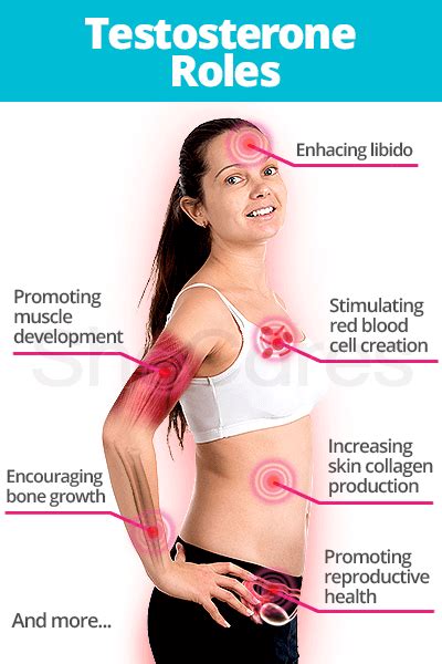 Testosterone Function: Roles & Effects | SheCares