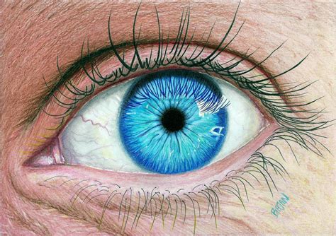 Realistic Eye by Bajan-Art on DeviantArt