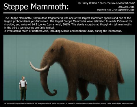 Steppe Mammoth Size Comparison by Harry-the-Fox on DeviantArt