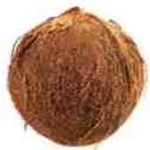 ¿Cómo saber si un coco está listo para comer?, ¿Cómo saber si un coco está maduro?