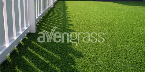 What is The Best Fake Grass? | Integral Grass