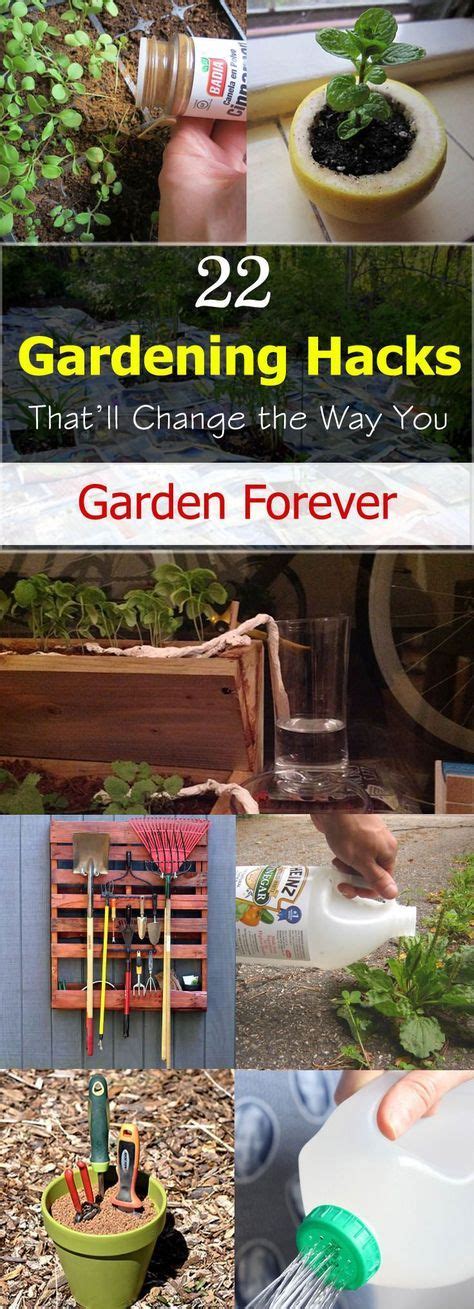 28 Gardening Hacks that’ll Change the Way You Garden Forever! | Organic ...