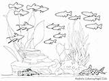 Underwater Plants Coloring Pages At GetColoringscom  Free Printable sketch template