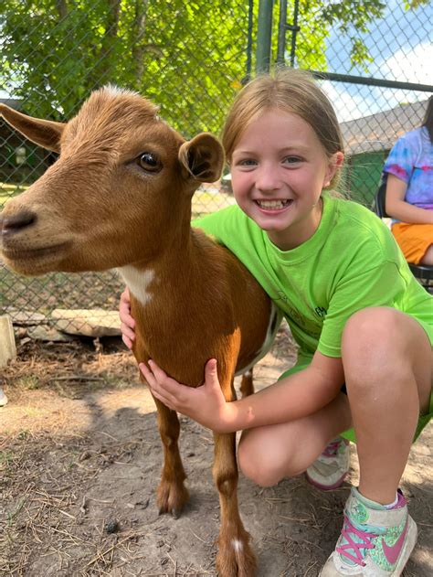 Farm to Table! & We Love Farm Animals! 1st-4th Grade | Farm Market at ...
