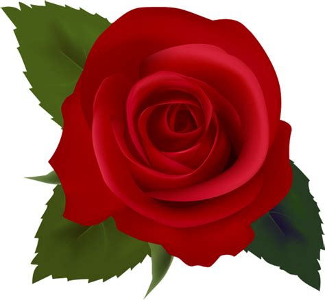 Clipart Flower Rose - Clip Art Red Roses (615x591), Png Download