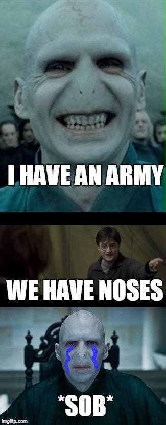 Voldemort Gets Roasted (redo) - Imgflip