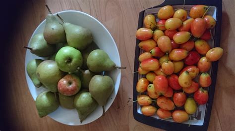 These small apple-like fruits I picked (the ones on the right side of ...