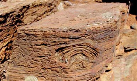 Early traces of life investigations in drilling Archean hydrothermal and sedimentary rocks of ...