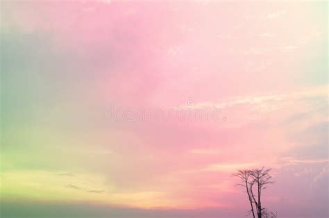 Subtle Background of the Beautiful Pastel Sky Stock Photo - Image of ...