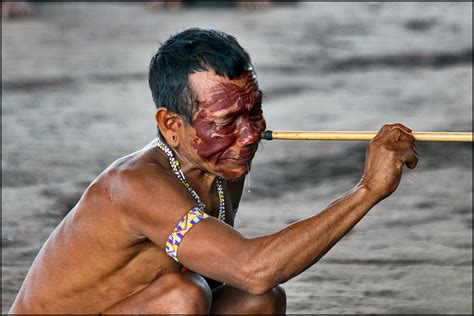 Yopo Ritual der Yanumami Foto & Bild | south america, venezuela, yanumami indianer Bilder auf ...