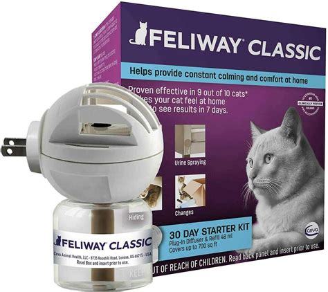 Feliway Diffuser Review: Is It Worth Your Money? | Raise a Cat