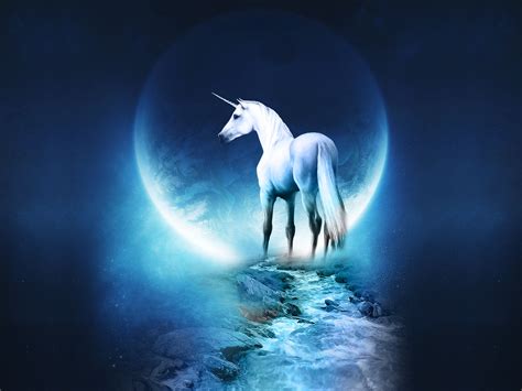 Einhorn Wallpaper and Hintergrund | 1600x1200 | ID:102646