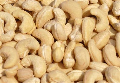 Raw Cashew Nuts at Best Price in Thane - ID: 2797143 | Fittech Industries Pvt. Ltd.