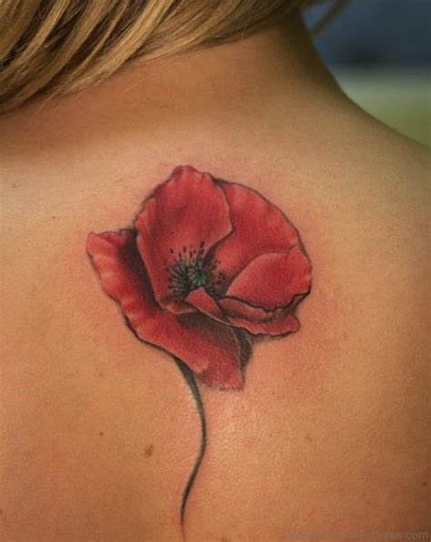 Poppy Tattoos - Best Tattoo Ideas