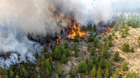 Russia’s Wildfires Double in Size Within Week – TASS - The Moscow Times