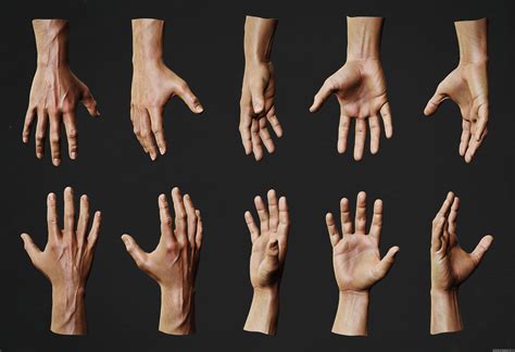 Hand Anatomy Study | Andor Kollar - Character Artist