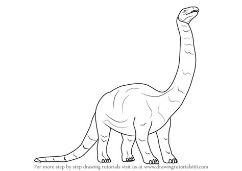 Long Neck Dinosaur Drawing at GetDrawings | Free download